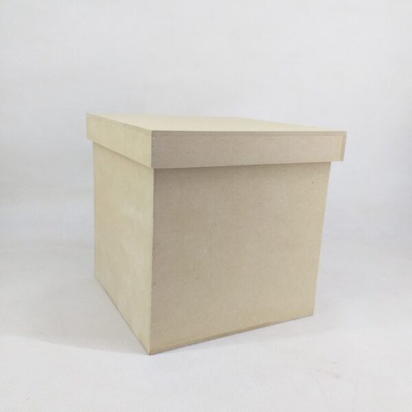 Caja con tapa 15x15x15cm